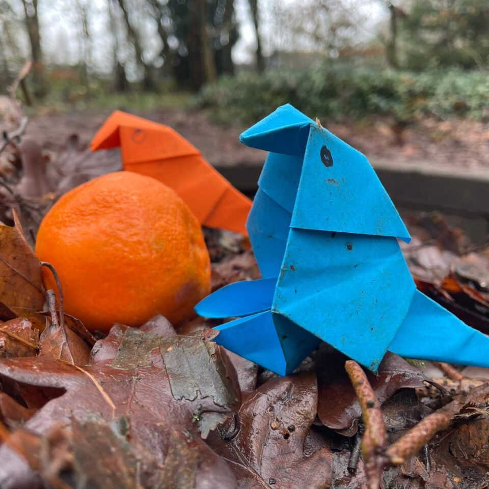 Origami Outdoors