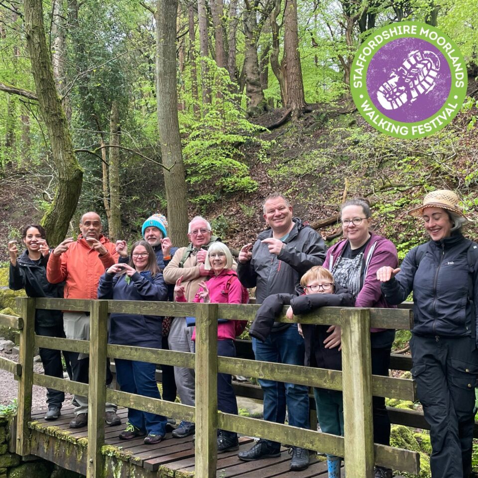 A group of people stood on a wooden footbridge in a woodland